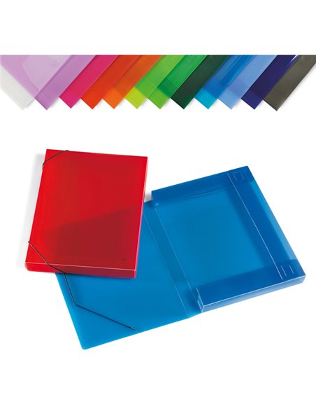 CARTELLA PPL C/ELASTICO TRASPARENTE ASSORTITI 355X265MM DORSO 30 2525-ASS LEBEZ CARTELLINE IN PLASTICA CON ELASTICO