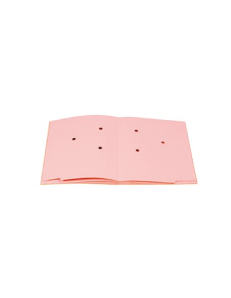LIBRO FIRMA 18 PAGINE 24X34CM 618-ECO FRASCHINI 618-ECO FRASCHINI LIBRI FIRMA