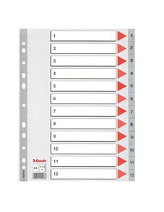Separatore in PPL grigio numerico 1-12 A4 22,5x29,7cm ESSELTE 100106 ESSELTE DIVISORI-SEPARATORI CON TASTI STAMPATI
