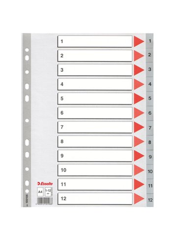 Separatore in PPL grigio numerico 1-12 A4 22,5x29,7cm ESSELTE 100106 ESSELTE DIVISORI-SEPARATORI CON TASTI STAMPATI