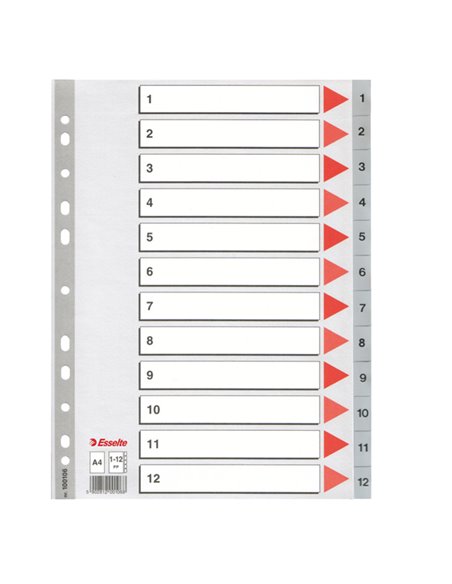 Separatore in PPL grigio numerico 1-12 A4 22,5x29,7cm ESSELTE 100106 ESSELTE DIVISORI-SEPARATORI CON TASTI STAMPATI
