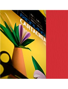 Blister 10fg cartoncino 35x50cm 220gr ciliegia Cartacrea Fabriano 46435127 FABRIANO CARTONCINO COLORATO