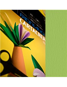Blister 10fg cartoncino 35x50cm 220gr verde pisello Cartacrea Fabriano 46435110