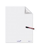 ROTOLO 25FG ELETTROSTATICI 60x80CM A QUADRETTI MAGIC CHART LEGAMASTER L-1590 00