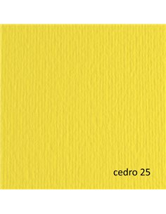 BLISTER 10FG CARTONCINO 70X100 220GR CEDRO 125 FABRIANO ELLE ERRE 46470125 FABRIANO CARTONCINO COLORATO