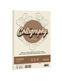 Carta CALLIGRAPHY CANVAS 100gr A4 50fg avorio 02 FAVINI A69Q214