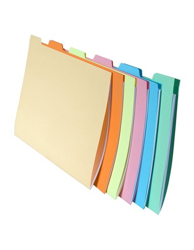 SET 6 CARTELLINE C/TACCA PER CARTELLE SOSP. CASSETTO NATURE FUTURE 337000E EXACOMPTA ETICHETTE PER CART. SOSPESE