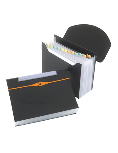CARTELLA A 13 TASCHE 23X33CM NERO OPTIMA EXPANDER 2102483 REXEL CARTELLE A SOFFIETTO