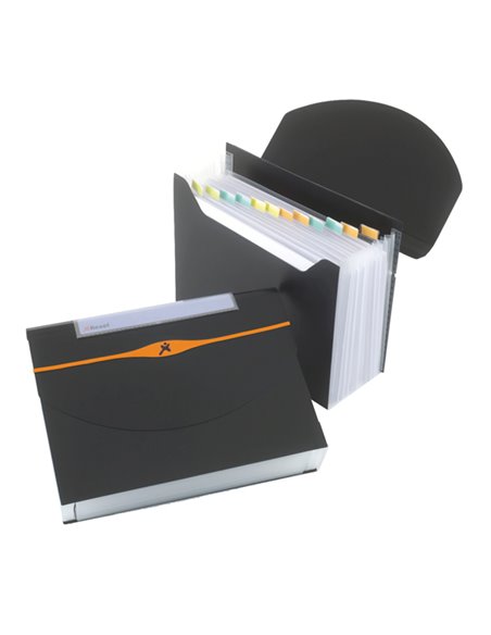 CARTELLA A 13 TASCHE 23X33CM NERO OPTIMA EXPANDER 2102483 REXEL CARTELLE A SOFFIETTO