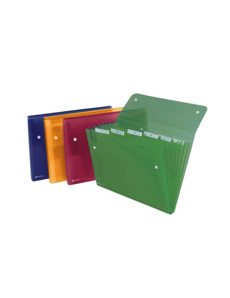 CARTELLA A 6 TASCHE 22X30CM ASSORT. ICE REXEL 2102032 REXEL CARTELLE A SOFFIETTO
