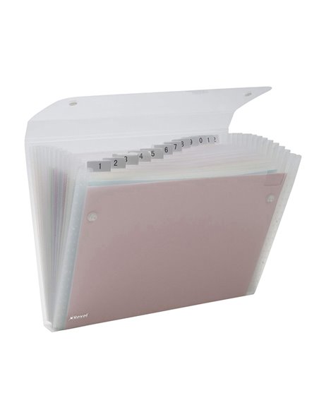 CARTELLA A 13 TASCHE 22X30CM TRASPARENTE ICE REXEL 2102035 REXEL CARTELLE A SOFFIETTO
