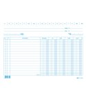 100 SCHEDE DARE/AVERE/SALDO/IVA 17x24CM ORIZZ. E3379 Edipro E3379BL