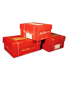 CARTA IN MODULO CONTINUO 24X12" 60GR (2000FG) LF Piste Staccabili S01240126010