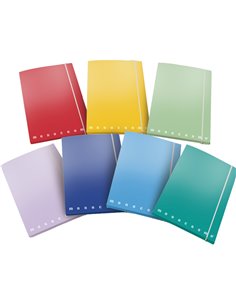 CARTELLA 3 LEMBI c/elastico A4 - D 1.2 MONOCROMO colori assortiti 02175633L