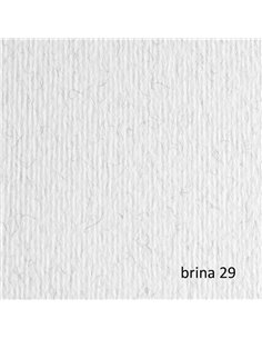 BLISTER 20FG CARTONCINO 50X70 220GR BRINA 29 FABRIANO ELLE ERRE 42450729