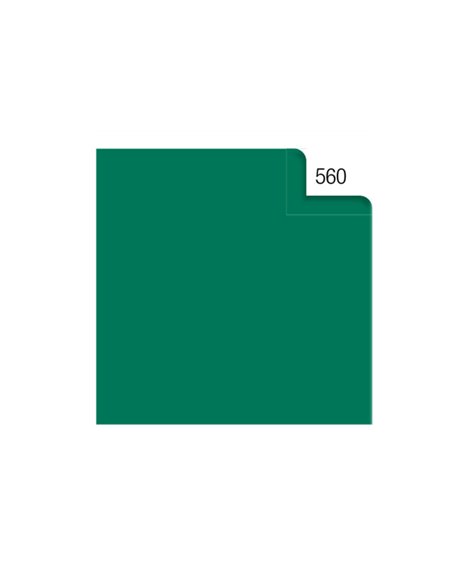 BUSTA 26fogli 50x70cm CARTA VELINA 20gr VERDE Rex Sadoch KV106560 REX SADOCH CARTA CRESPA-VELINA