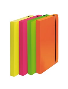 CARTELLA PROGETTO D.3cm CON ELASTICO COLORI FLUO SHOCKING FILE 1028101 FELLOWES CARTELLINE IN PLASTICA CON ELASTICO