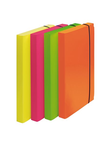 CARTELLA PROGETTO D.3cm CON ELASTICO COLORI FLUO SHOCKING FILE 1028101 FELLOWES CARTELLINE IN PLASTICA CON ELASTICO