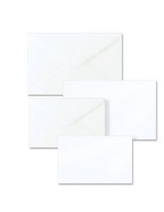 SCATOLA 100biglietti+100buste f.to 9 9x14cm DALMAZIA 8309 SADOCH 8309 REX SADOCH BUSTE E BIGLIETTI PER RICORRENZE 2