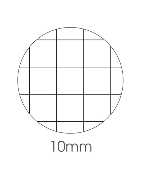 MAXIQUADERNO A4 80gr 80fg+1 10mm COLOR 80 BASIC BM 0110607