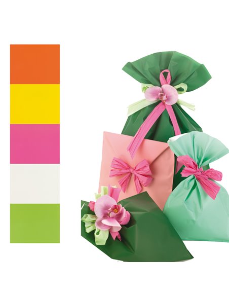 100 BUSTE REGALO IN PPL PERLA MAT 16x25cm assortimento 5 colori UD805PRR B 16X25 PNP BUSTE E FOGLI CRYSTAL