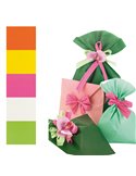 100 BUSTE REGALO IN PPL PERLA MAT 25x40cm assortimento 5 colori UD805PRR B 25X40