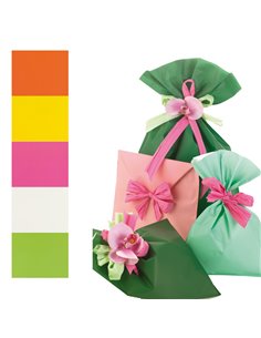 100 BUSTE REGALO IN PPL PERLA MAT 25x40cm assortimento 5 colori UD805PRR B 25X40 PNP BUSTE E FOGLI CRYSTAL