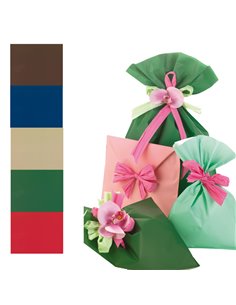 100 BUSTE REGALO IN PPL MAT A everyday classic 25x40cm 5 colori classici UD805PRR A 25X40 PNP BUSTE E FOGLI CRYSTAL