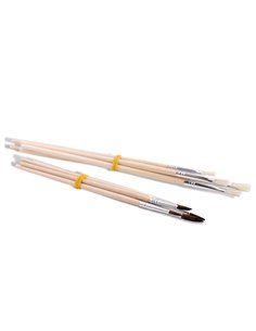 ASTUCCIO PORTAPENNELLI in PP CON 5+5 PENNELLI Primo 1239PTQ10 PRIMO ACCESSORI PITTURA 2
