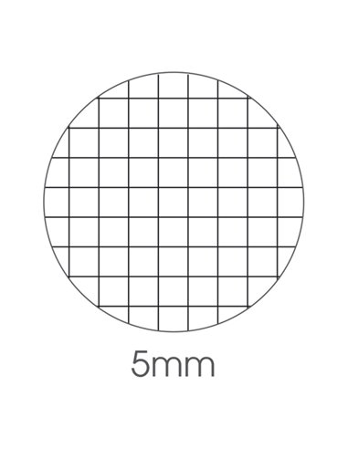 BLOCCO NOTE EXPORT 210x297mm 50gr 50fg 5mm BM 0100242 BM BLOCCHI NOTE PM
