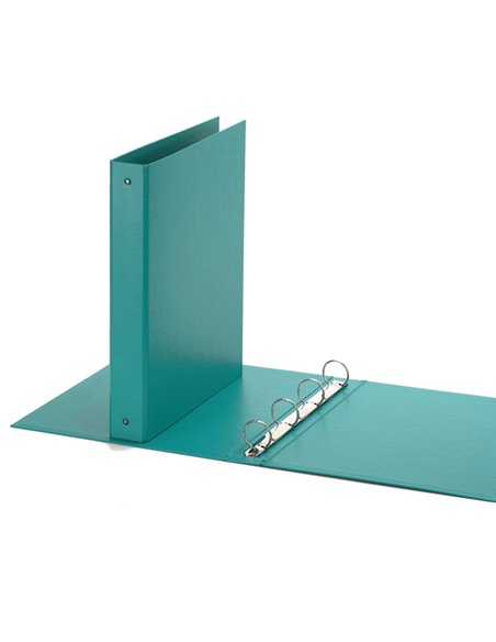 Raccoglitore Europa 4010 22x30mm 4R dorso 30 verde acqua Favorit 400051157