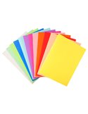 100 CARTELLINE SEMPLICI 220gr 24x32cm MIX 10 COLORI FOLDYNE 410000E