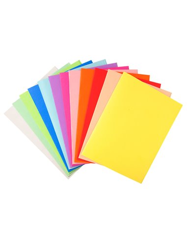 100 CARTELLINE SEMPLICI 220gr 24x32cm MIX 10 COLORI FOLDYNE 410000E EXACOMPTA CARTELLINE SEMPLICI