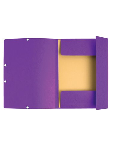 CARTELLA CON ELASTICO 24x32CM VIOLA CARTONCINO LUSTRE' 425gr 55508E EXACOMPTA CARTELLE CON ELASTICO