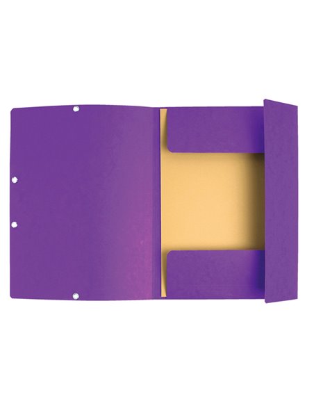 CARTELLA CON ELASTICO 24x32CM VIOLA CARTONCINO LUSTRE' 425gr 55508E EXACOMPTA CARTELLE CON ELASTICO