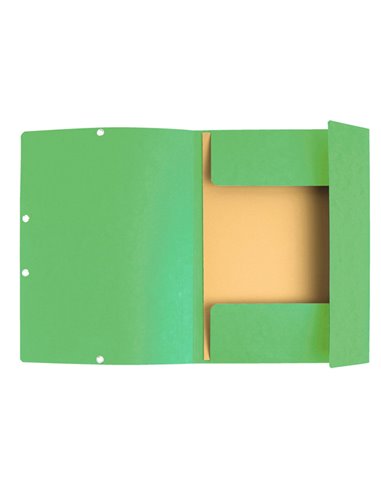 CARTELLA CON ELASTICO 24x32CM VERDE TIGLIO CARTONCINO LUSTRE' 425gr 55513E EXACOMPTA CARTELLE CON ELASTICO