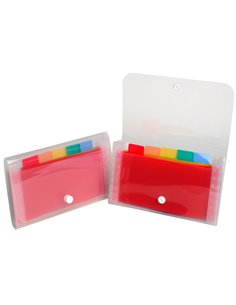 CLASSIFICATORE A 6 TASCHE 11x18cm IN PPL CRYSTAL 55498E EXACOMPTA CLASSIFICATORI