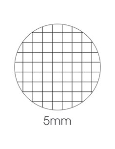 BLOCCO NOTE DERBY 150x210mm 70fg 60gr PM 5mm BM 0100016 BM BLOCCHI NOTE PM 2