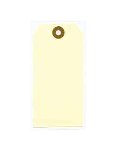 1000 ETICHETTE PER SPEDIZIONI 120x60mm 80053 LEBEZ 80053 2