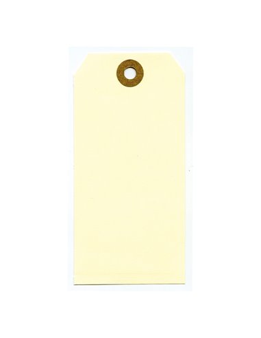1000 ETICHETTE PER SPEDIZIONI 120x60mm 80053 LEBEZ 80053