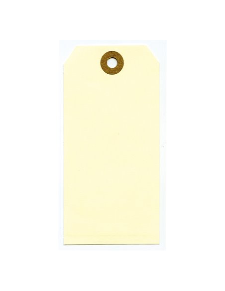 1000 ETICHETTE PER SPEDIZIONI 120x60mm 80053 LEBEZ 80053