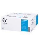 Pacco 250 asciugamani piegati a V goffrato a onda Ecolabel Papernet 409051