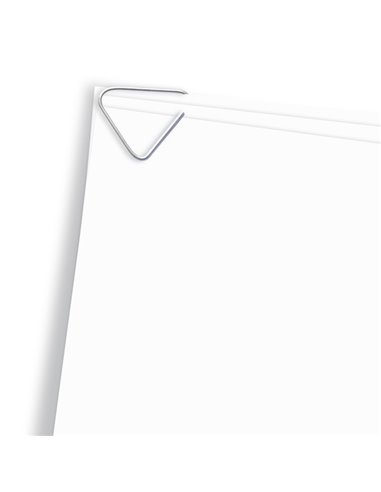 SCATOLA 50 FERMANGOLI ZENITH 815 Acciaio inox 100 0608158000