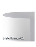 Conf.10 cartoncino Bristol Color 200gr 100x70cm bianco 01 Favini A3500A1
