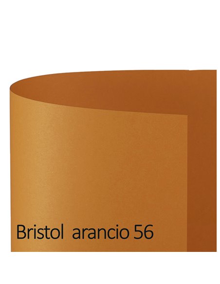 Conf.10 cartoncino Bristol Color 200gr 100x70cm arancio 56 Favini A35E0A1 FAVINI CARTONCINO COLORATO