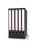 Gruppo raccoglitori Qunitetto c/cartelle 25x35cm dorso 23,5cm Rexel GKM5300