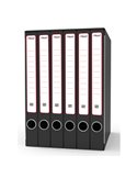 Gruppo raccoglitori Sestetto c/cartelle 25,5x34,5cm dorso 23cm Rexel GKM6300