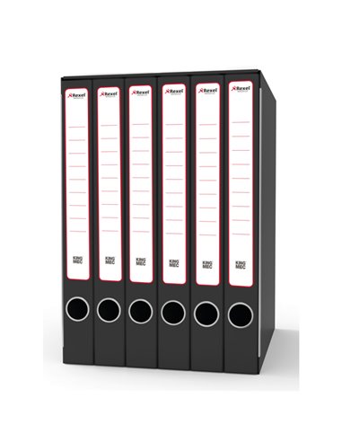 Gruppo raccoglitori Sestetto c/cartelle 25,5x34,5cm dorso 23cm Rexel GKM6300 REXEL GRUPPO DI RACCOGLITORI