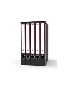 Gruppo raccoglitori Sestetto c/anelli 25,5x34,5cm dorso 23cm Rexel GKM6200 REXEL GRUPPO DI RACCOGLITORI