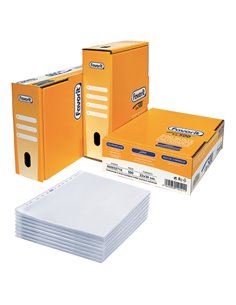 SCATOLA 500 BUSTE FORATE 22X30 LINEAR BUCCIA PPL FAVORIT 400052718
